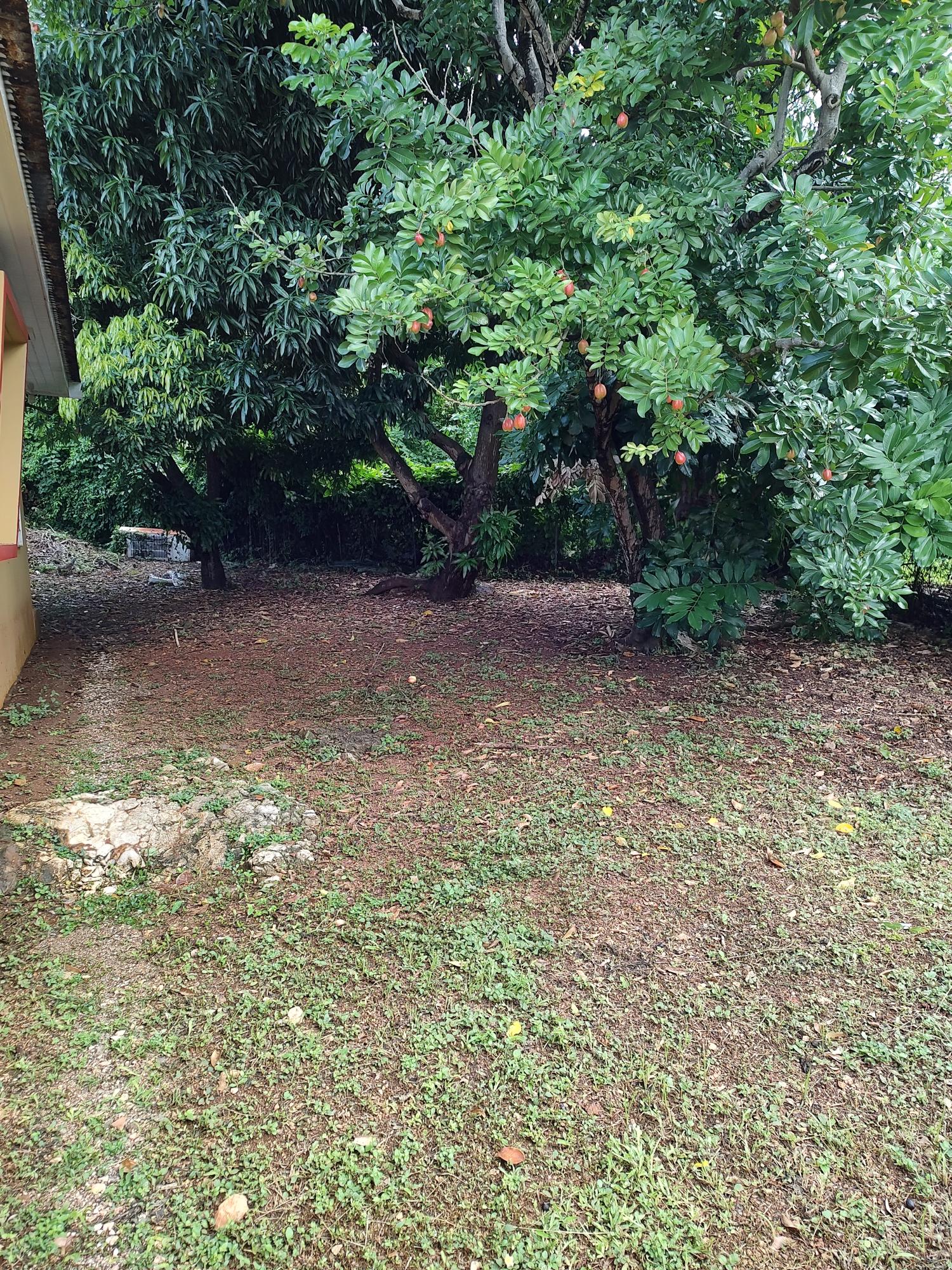 Sixth image of 12 Sandale Crescent in Mannings Hill, St. Andrew, Jamaica - property is For Sale