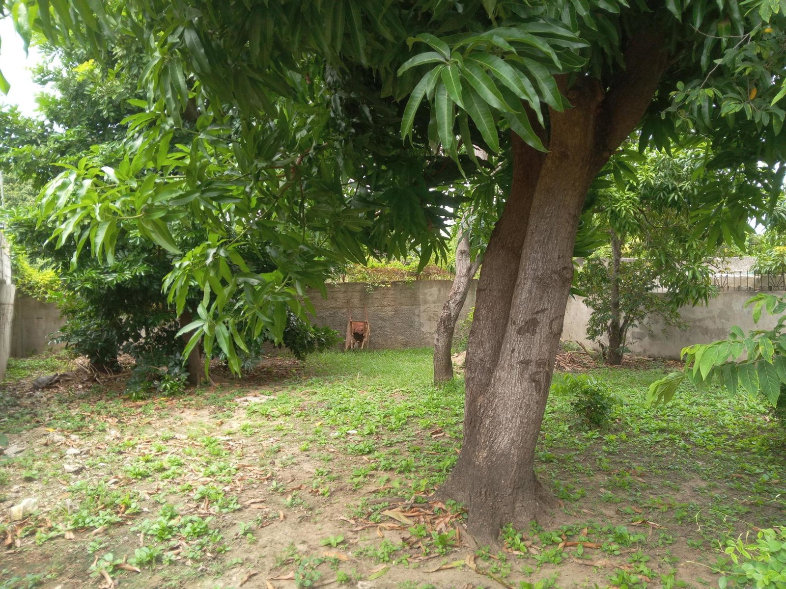 Seventh image of 613 Orchid Crescent in Spanish Town, St. Catherine, Jamaica - property is For Sale