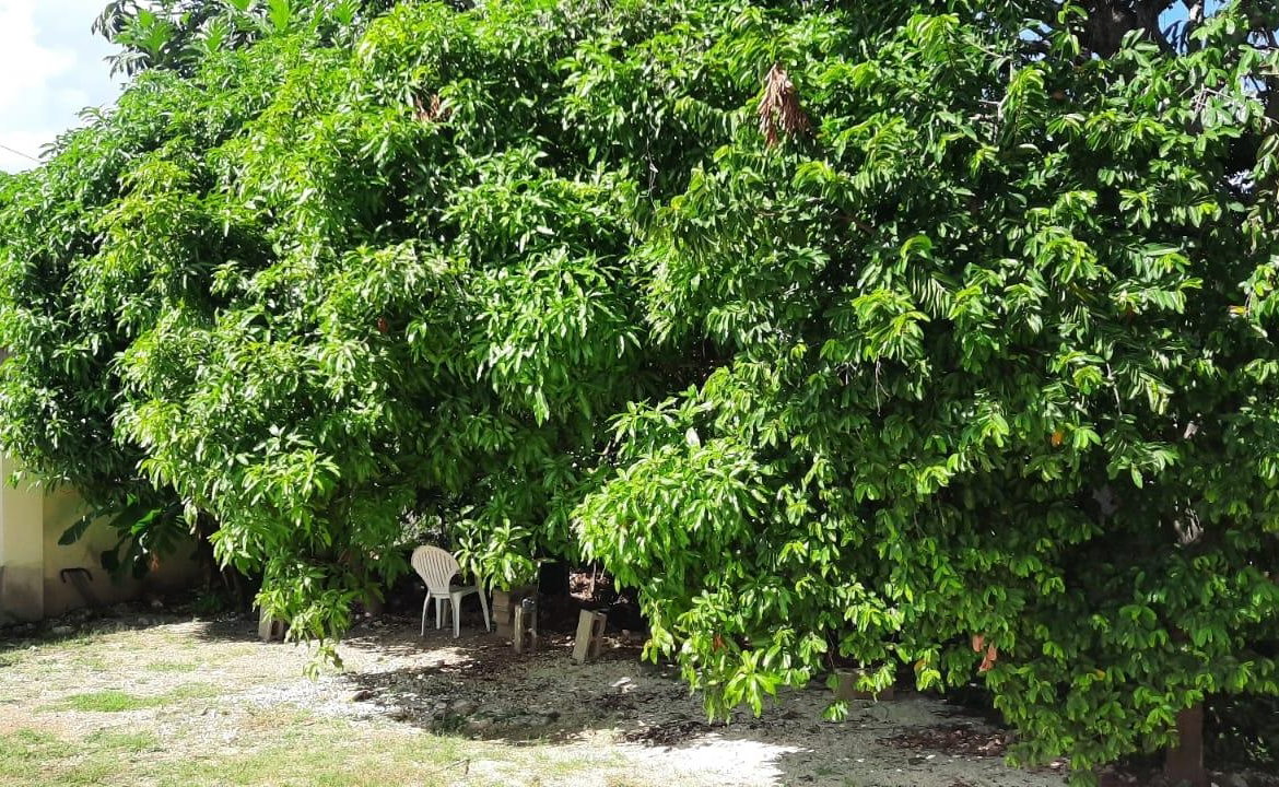 Second image of Lot 28 Grange Pen in Montego Bay, St. James, Jamaica - property is For Rent