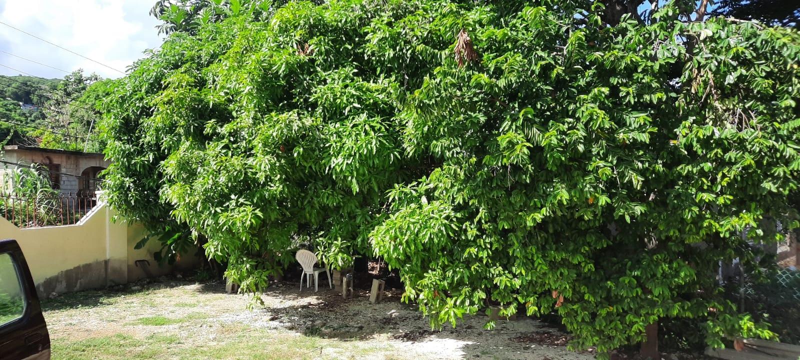 Second image of Lot 28 Grange Pen in Montego Bay, St. James, Jamaica - property is For Rent