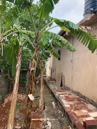 Ninth image of 9 Barry And Lloyd’s in Spanish Town, St. Catherine, Jamaica - property is For Sale