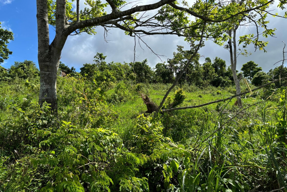 Second image of Lot-13 Brumalia in Brumalia, Manchester, Jamaica - property is For Sale