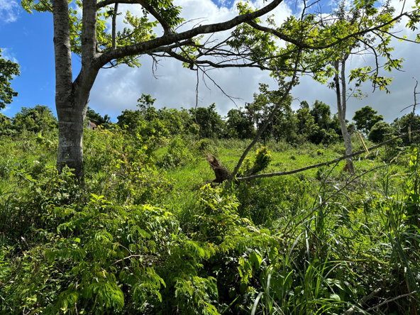 Second image of Lot-13 Brumalia in Brumalia, Manchester, Jamaica - property is For Sale