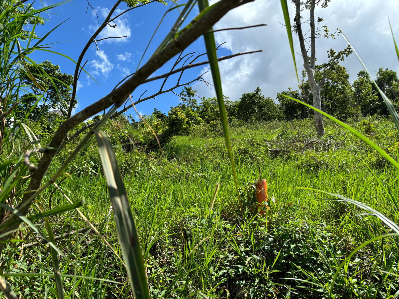 Fourth image of Lot-13 Brumalia in Brumalia, Manchester, Jamaica - property is For Sale