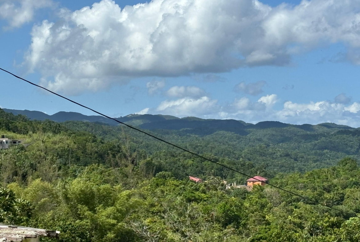 Fifth image of Lot-13 Brumalia in Brumalia, Manchester, Jamaica - property is For Sale