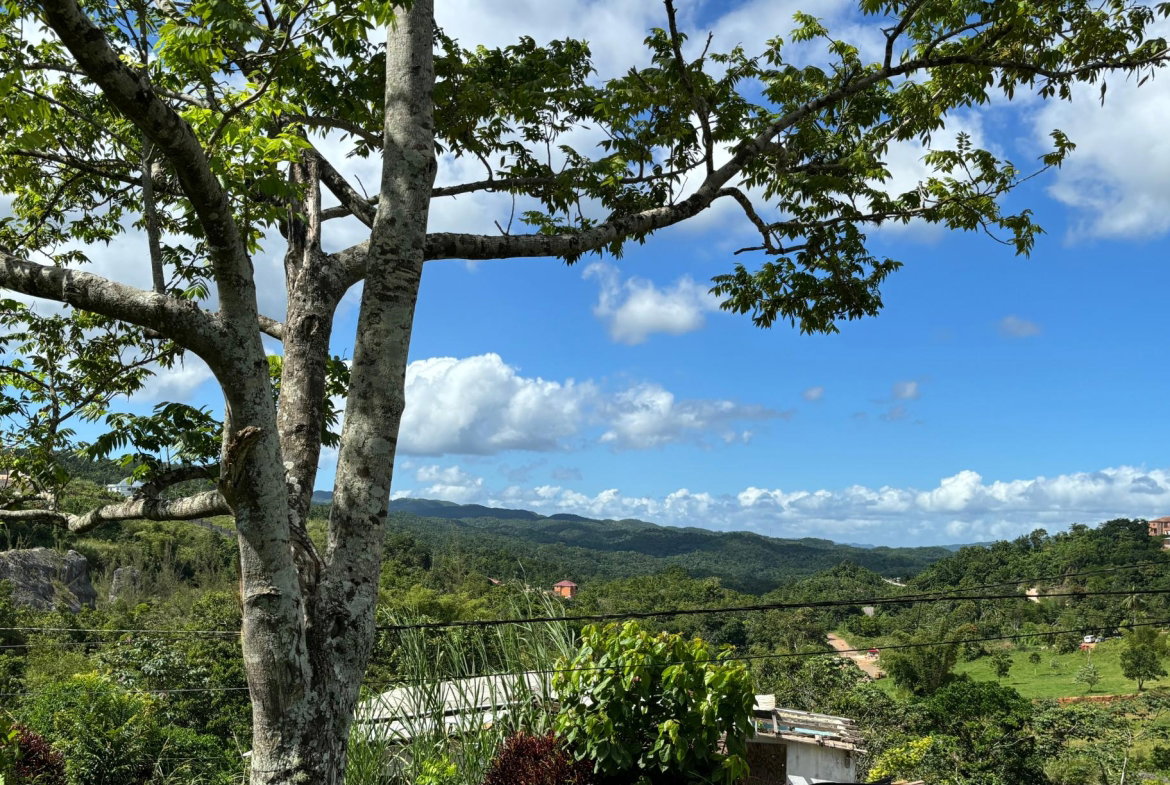 Sixth image of Lot-13 Brumalia in Brumalia, Manchester, Jamaica - property is For Sale