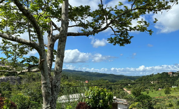 Sixth image of Lot-13 Brumalia in Brumalia, Manchester, Jamaica - property is For Sale