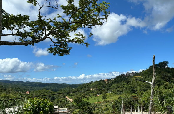 Seventh image of Lot-13 Brumalia in Brumalia, Manchester, Jamaica - property is For Sale