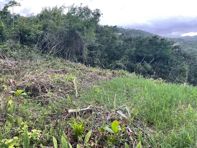 Second image of Lot-411 Bahamia Close, Ingleside in Mandeville, Manchester, Jamaica - property is For Sale