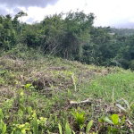 First image of Lot-411 Bahamia Close, Ingleside in Mandeville, Manchester, Jamaica - property is For Sale