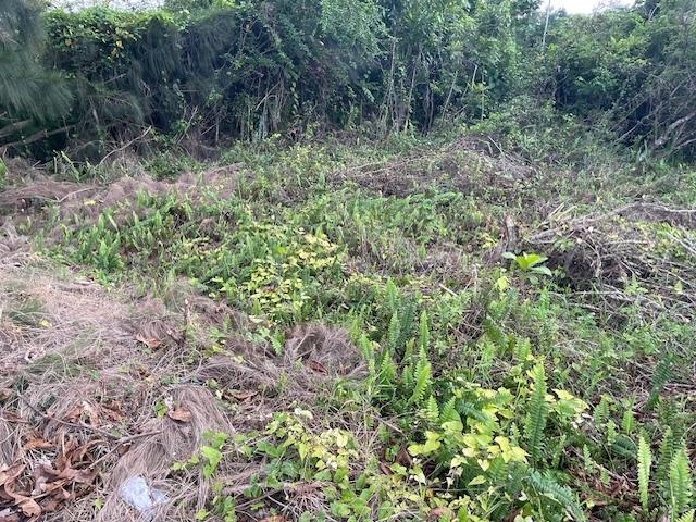 Fourth image of Lot-411 Bahamia Close, Ingleside in Mandeville, Manchester, Jamaica - property is For Sale