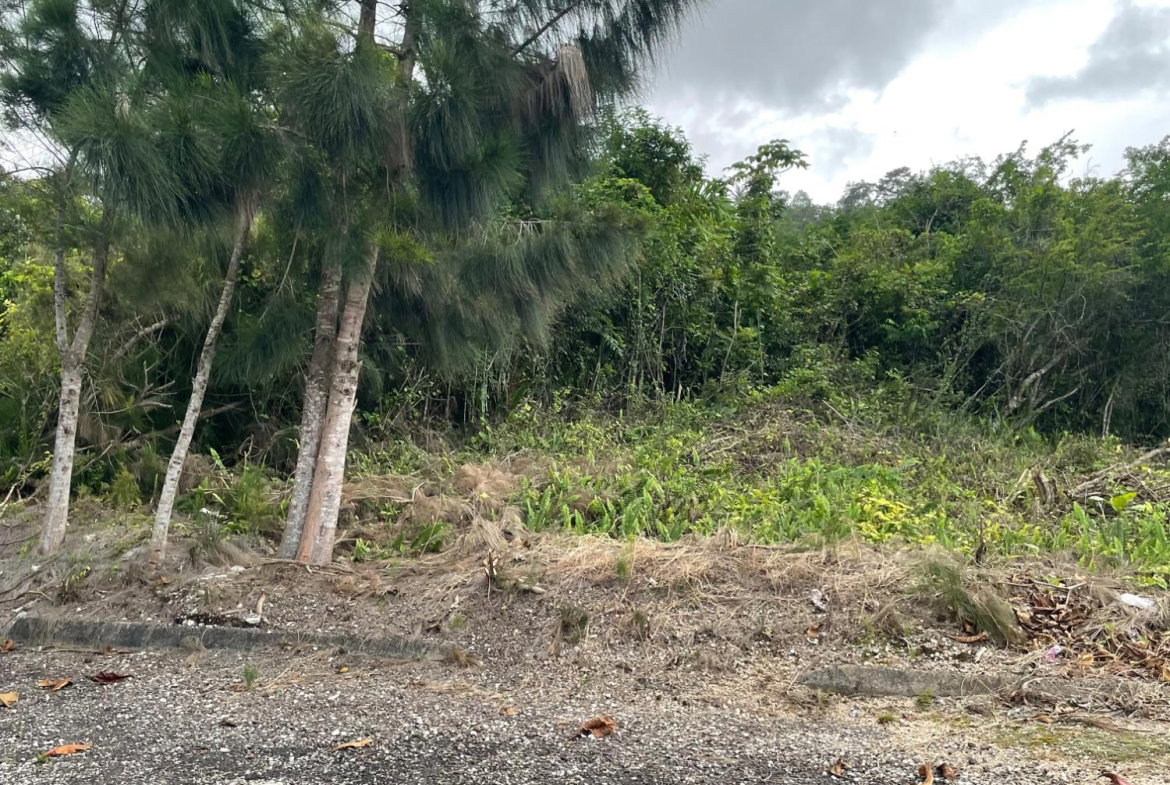 Fifth image of Lot-411 Bahamia Close, Ingleside in Mandeville, Manchester, Jamaica - property is For Sale