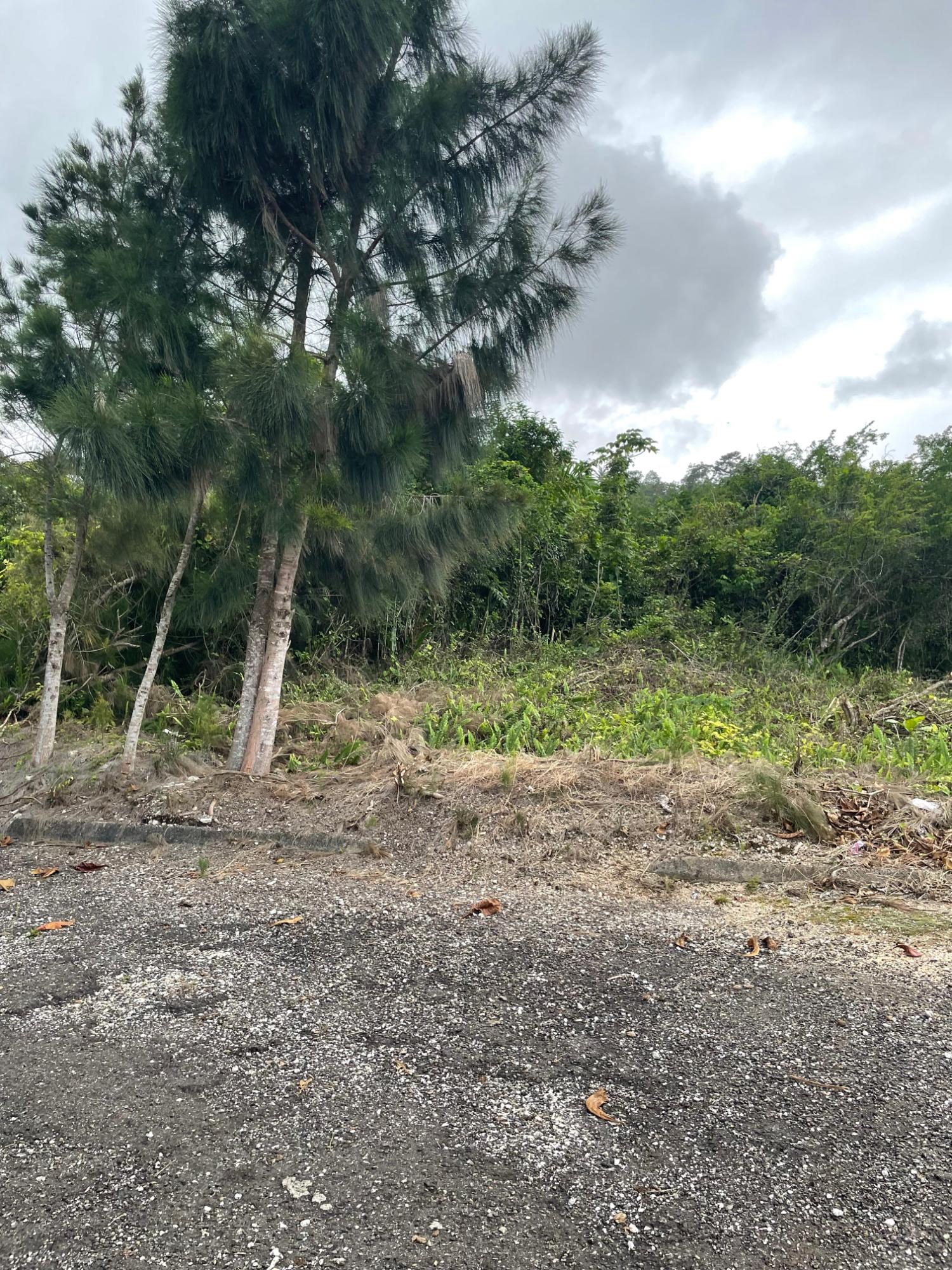 Sixth image of Lot-411 Bahamia Close, Ingleside in Mandeville, Manchester, Jamaica - property is For Sale