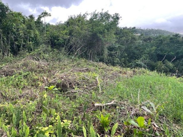 First image of Lot-411 Bahamia Close, Ingleside in Mandeville, Manchester, Jamaica - property is For Sale