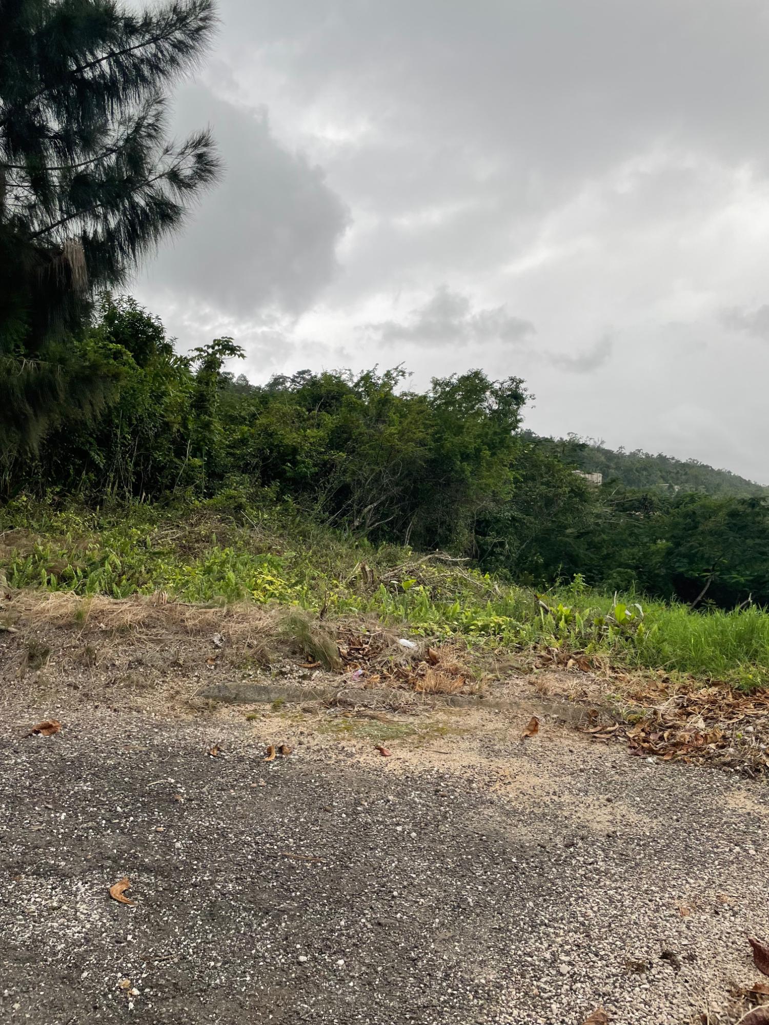 Seventh image of Lot-411 Bahamia Close, Ingleside in Mandeville, Manchester, Jamaica - property is For Sale
