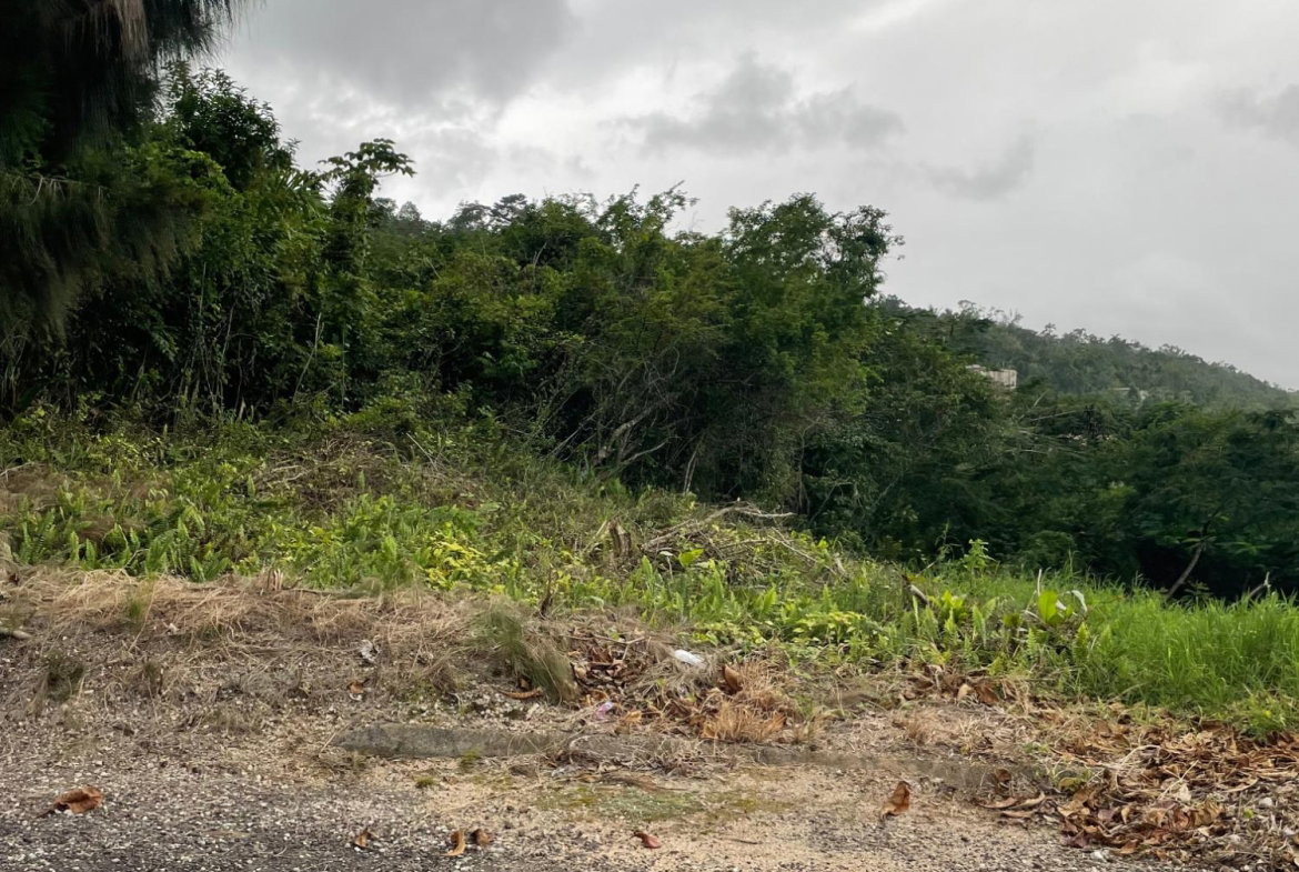 Eighth image of Lot-411 Bahamia Close, Ingleside in Mandeville, Manchester, Jamaica - property is For Sale