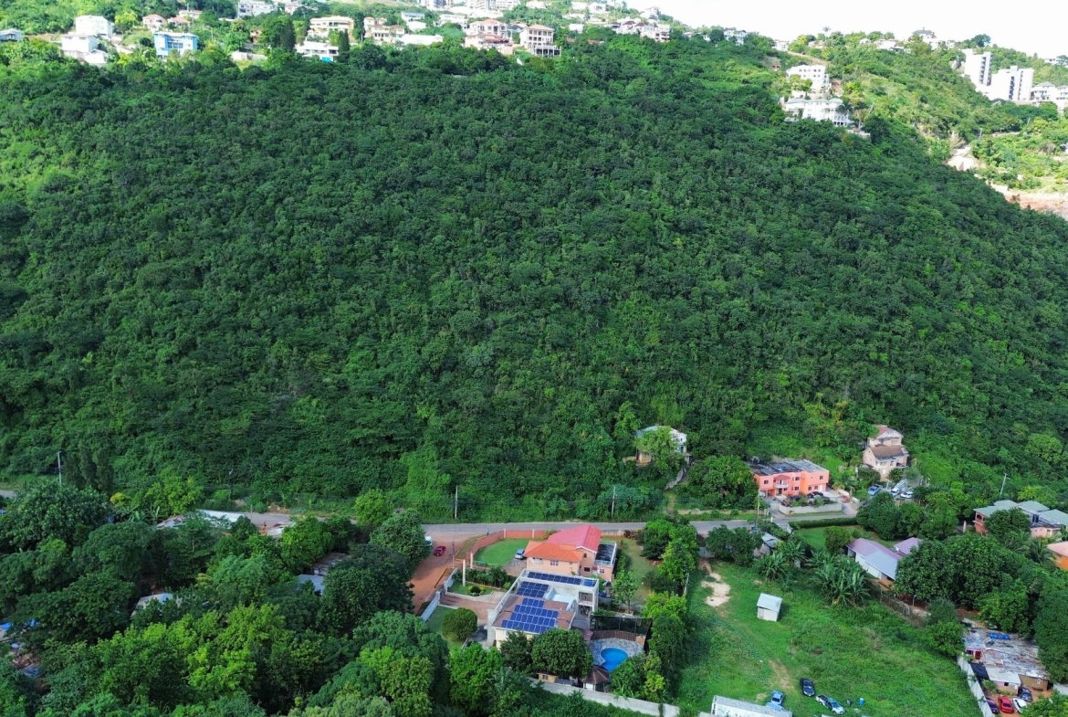 Third image of 11a Belvedere Rd, Forest Hill in Belvedere, St. Andrew, Jamaica - property is For Sale