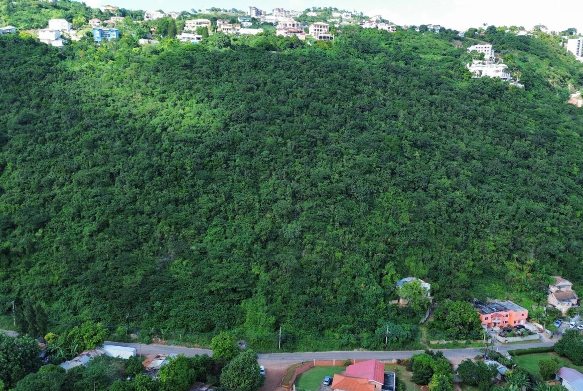 Fourth image of 11a Belvedere Rd, Forest Hill in Belvedere, St. Andrew, Jamaica - property is For Sale
