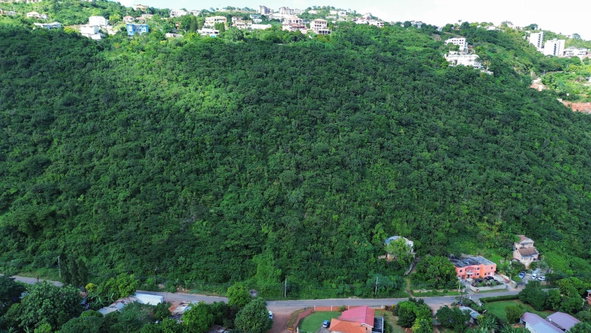 Fourth image of 11a Belvedere Rd, Forest Hill in Belvedere, St. Andrew, Jamaica - property is For Sale