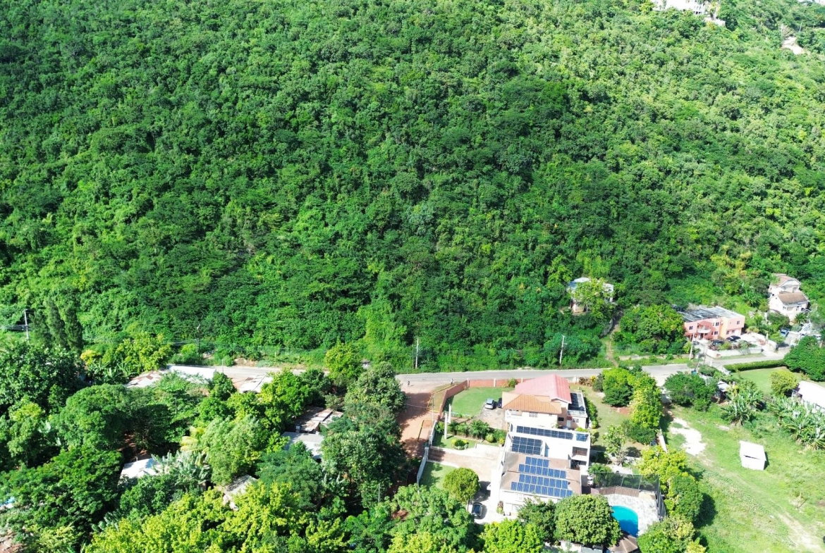 Fifth image of 11a Belvedere Rd, Forest Hill in Belvedere, St. Andrew, Jamaica - property is For Sale