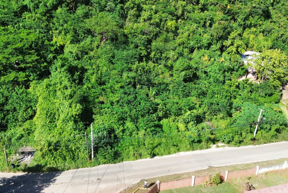 Sixth image of 11a Belvedere Rd, Forest Hill in Belvedere, St. Andrew, Jamaica - property is For Sale