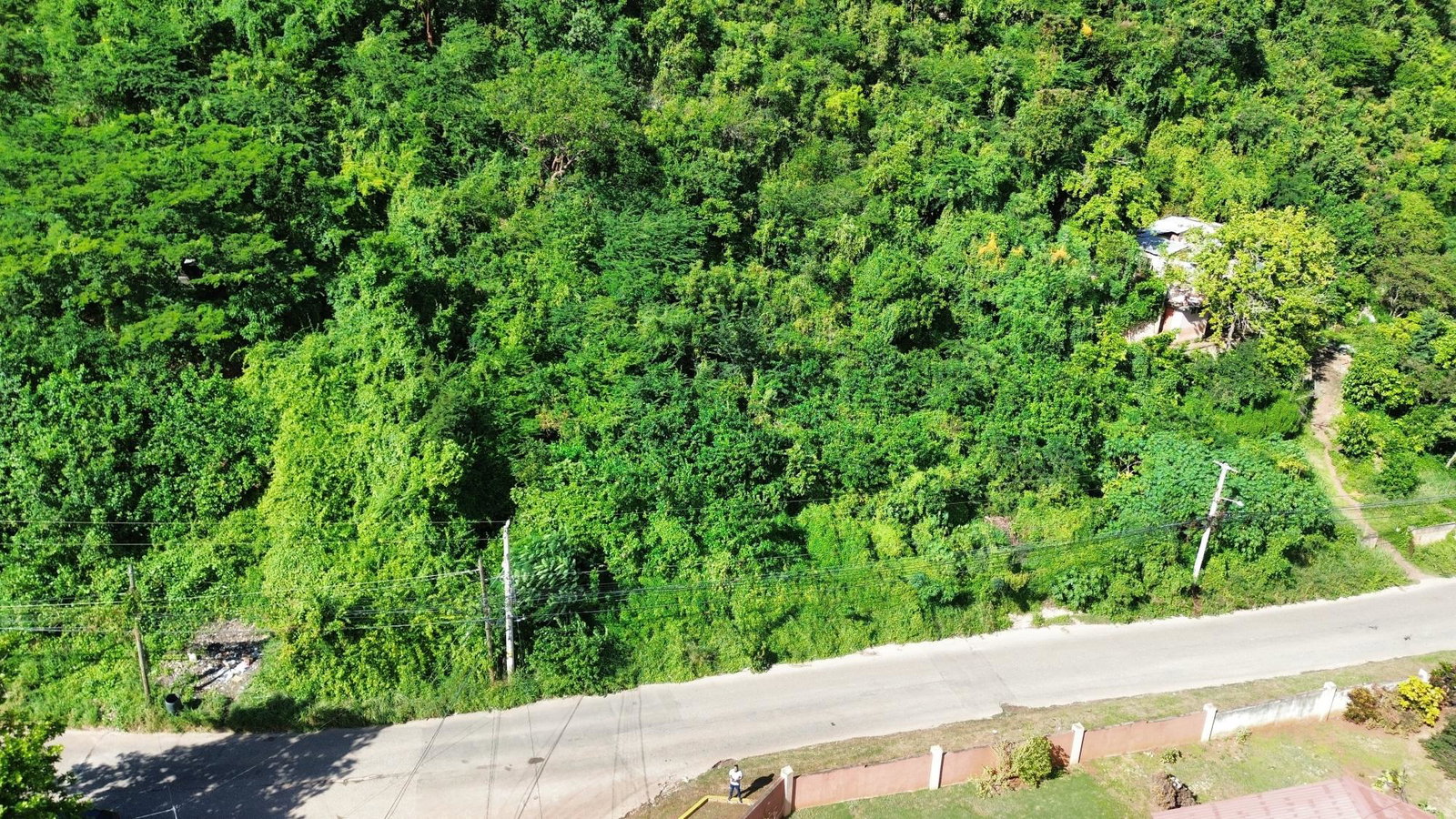 Stunning-2-Acre-Residential-Lot-for-Sale-in-Belvedere-Jamaica Sixth image of 11a Belvedere Rd, Forest Hill in Belvedere, St. Andrew, Jamaica - property is For Sale