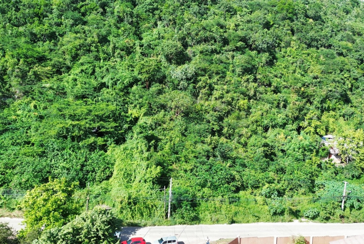 Tenth image of 11a Belvedere Rd, Forest Hill in Belvedere, St. Andrew, Jamaica - property is For Sale