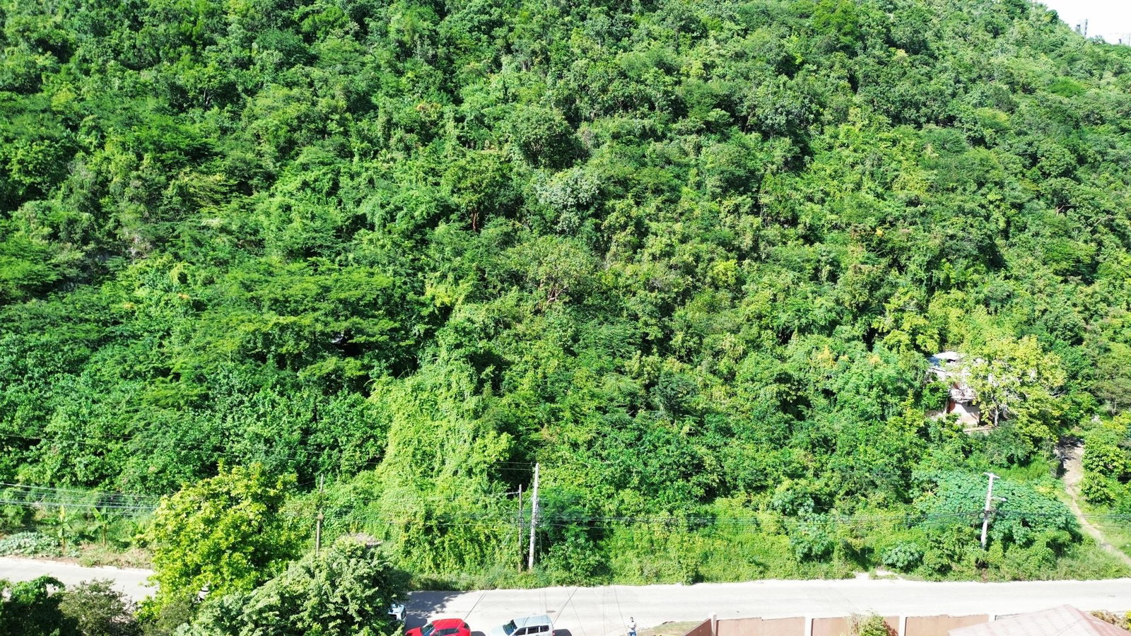 Stunning-2-Acre-Residential-Lot-for-Sale-in-Belvedere-Jamaica Tenth image of 11a Belvedere Rd, Forest Hill in Belvedere, St. Andrew, Jamaica - property is For Sale