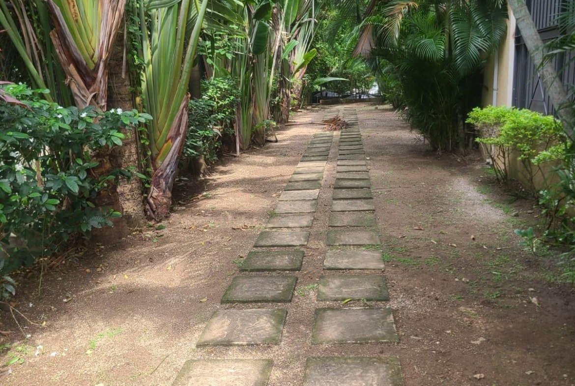 Fifth image of 18-40 Paddington Terrace in Kingston 6, St. Andrew, Jamaica - property is For Rent