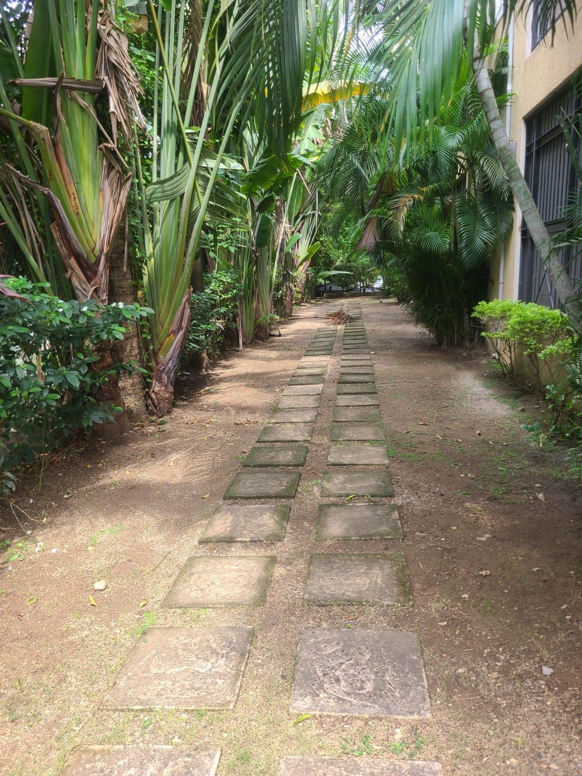 Stunning-2-Bedroom-Apartment-for-Rent-in-St.-Andrew-Jamaica Fifth image of 18-40 Paddington Terrace in Kingston 6, St. Andrew, Jamaica - property is For Rent