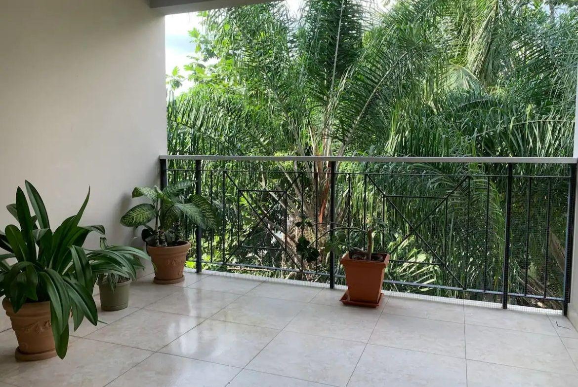 Eleventh image of 18-40 Paddington Terrace in Kingston 6, St. Andrew, Jamaica - property is For Rent