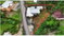 First image of Lot 4 Lincoln Road, Browns Town in Browns Town, St. Ann, Jamaica - property is For Sale