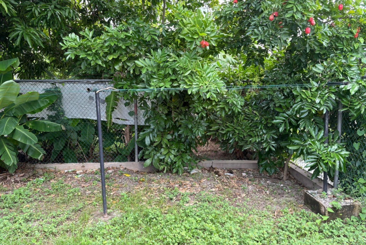 Fourteenth image of Braeton New Town in Braeton Newtown, St. Catherine, Jamaica - property is For Sale