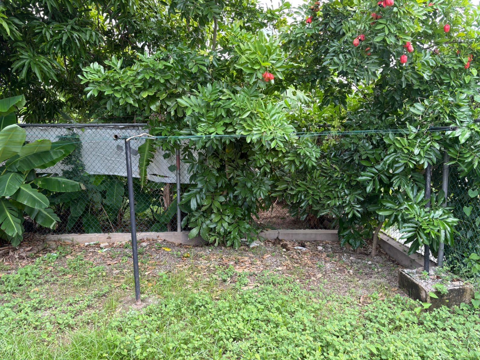 Fourteenth image of Braeton New Town in Braeton Newtown, St. Catherine, Jamaica - property is For Sale