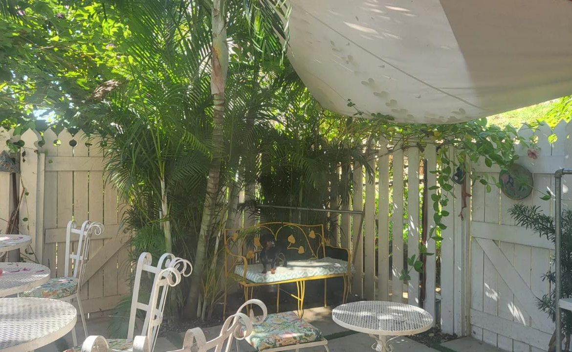 Eleventh image of 10 Watervale Avenue in Havendale, St. Andrew, Jamaica - property is For Rent