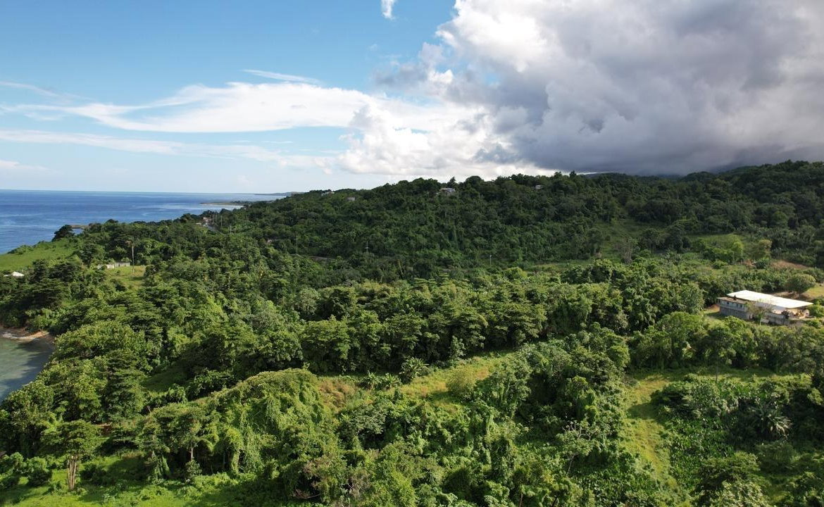 Second image of Ross Craig , Portland in Long Bay, Portland, Jamaica - property is For Sale