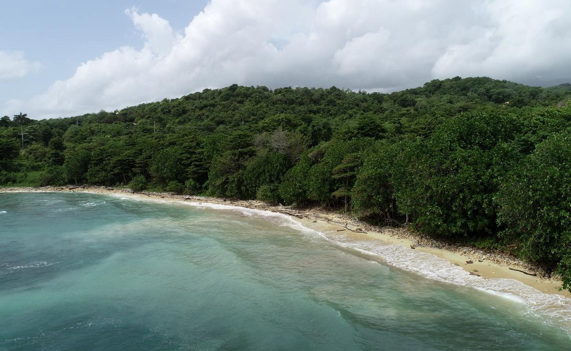 Eleventh image of Ross Craig , Portland in Long Bay, Portland, Jamaica - property is For Sale