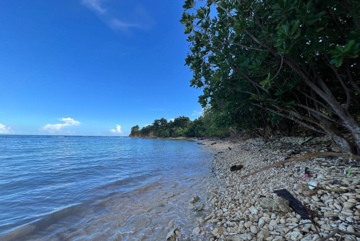 Seventeenth image of Ross Craig , Portland in Long Bay, Portland, Jamaica - property is For Sale
