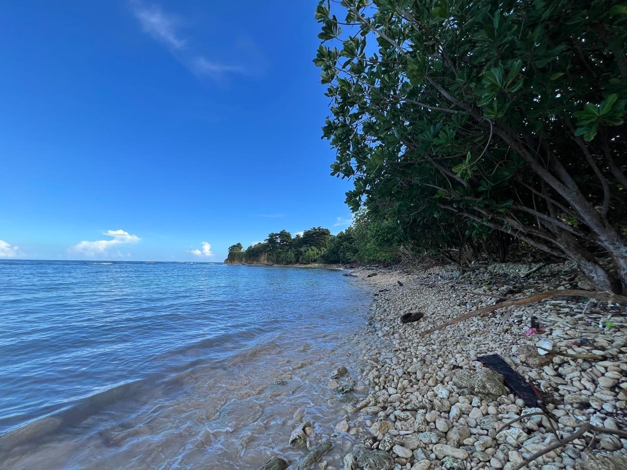 Seventeenth image of Ross Craig , Portland in Long Bay, Portland, Jamaica - property is For Sale