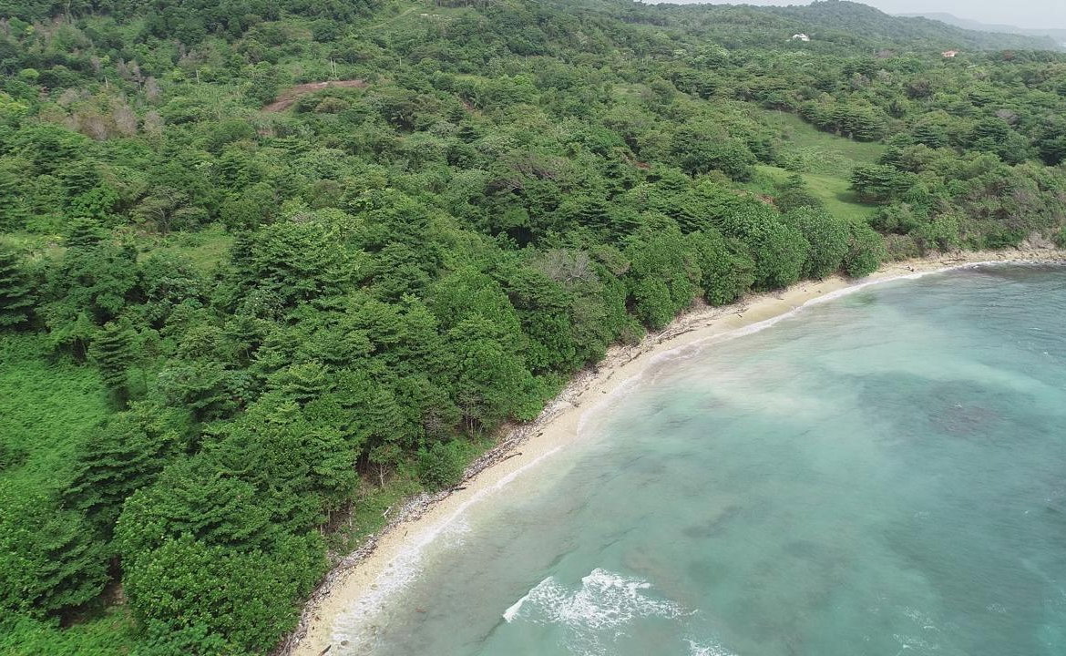 Eighteenth image of Ross Craig , Portland in Long Bay, Portland, Jamaica - property is For Sale