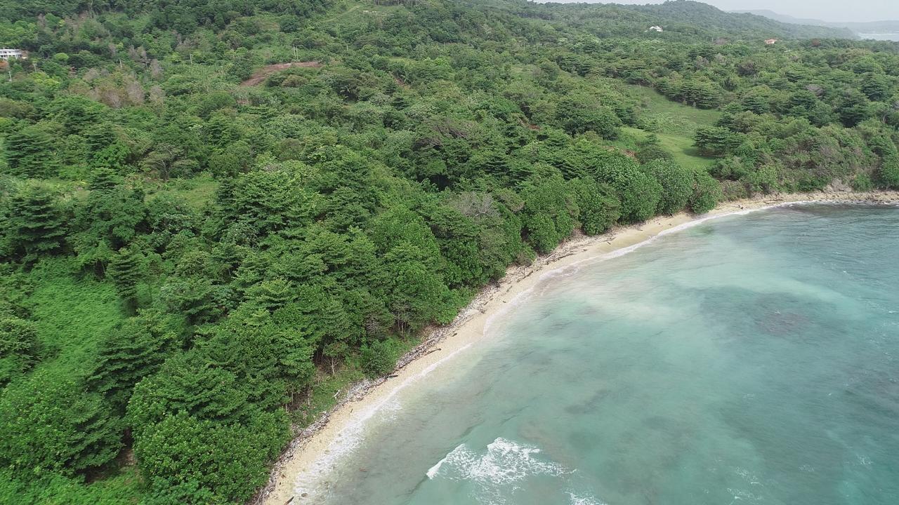 Eighteenth image of Ross Craig , Portland in Long Bay, Portland, Jamaica - property is For Sale