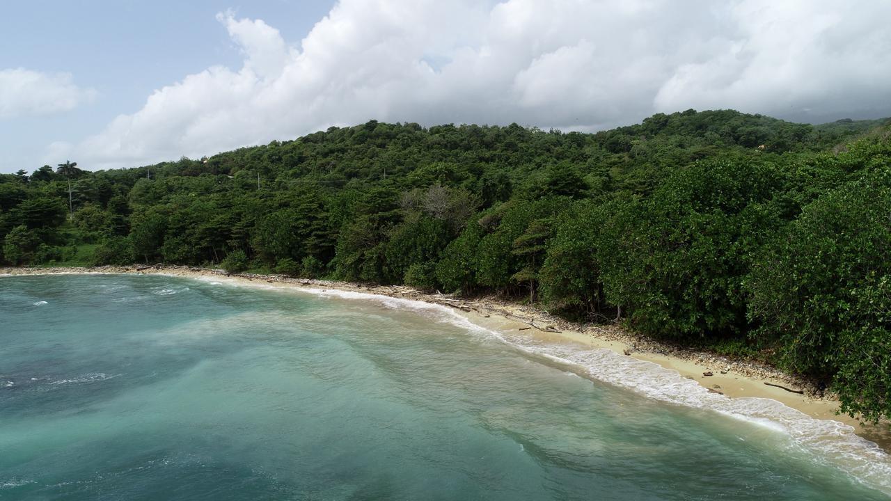 Fifth image of Ross Craig , Portland in Long Bay, Portland, Jamaica - property is For Sale
