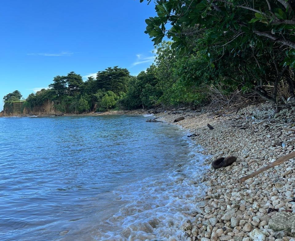 Tenth image of Ross Craig , Portland in Long Bay, Portland, Jamaica - property is For Sale
