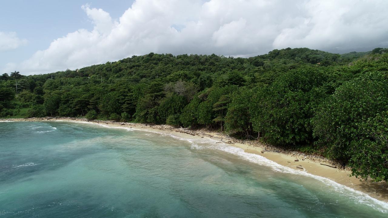 First image of Ross Craig , Portland in Long Bay, Portland, Jamaica - property is For Sale