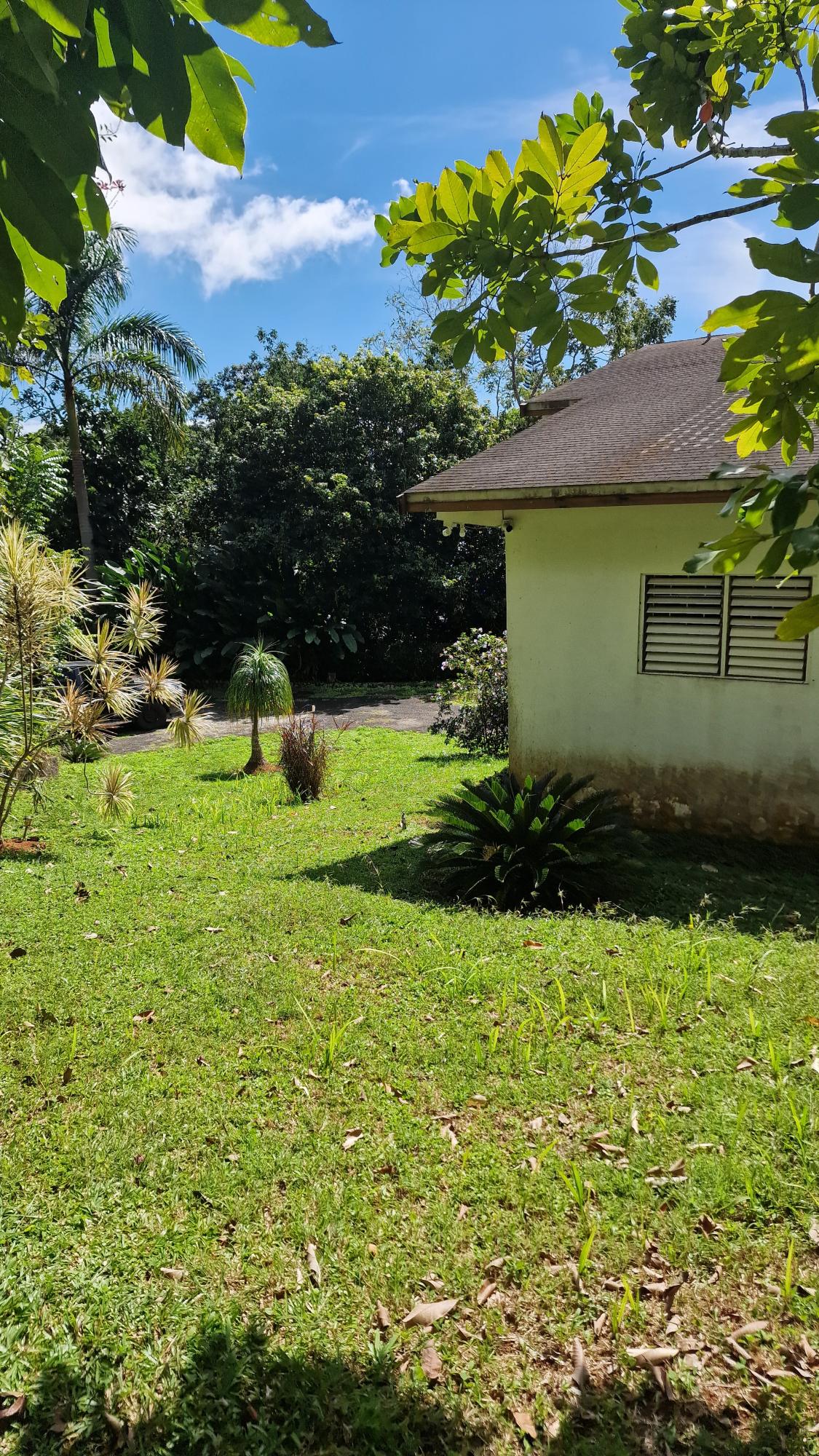 Nineteenth image of 2 Mount Atlas Road in Coopers Hill, St. Andrew, Jamaica - property is For Sale