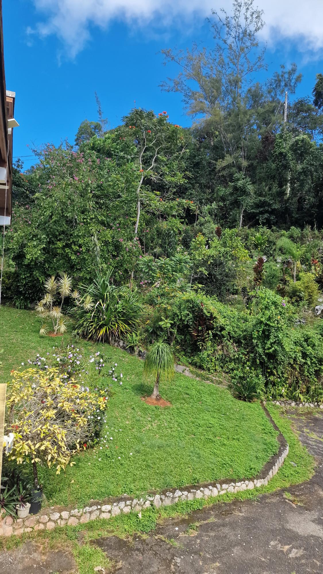 Twentieth image of 2 Mount Atlas Road in Coopers Hill, St. Andrew, Jamaica - property is For Sale