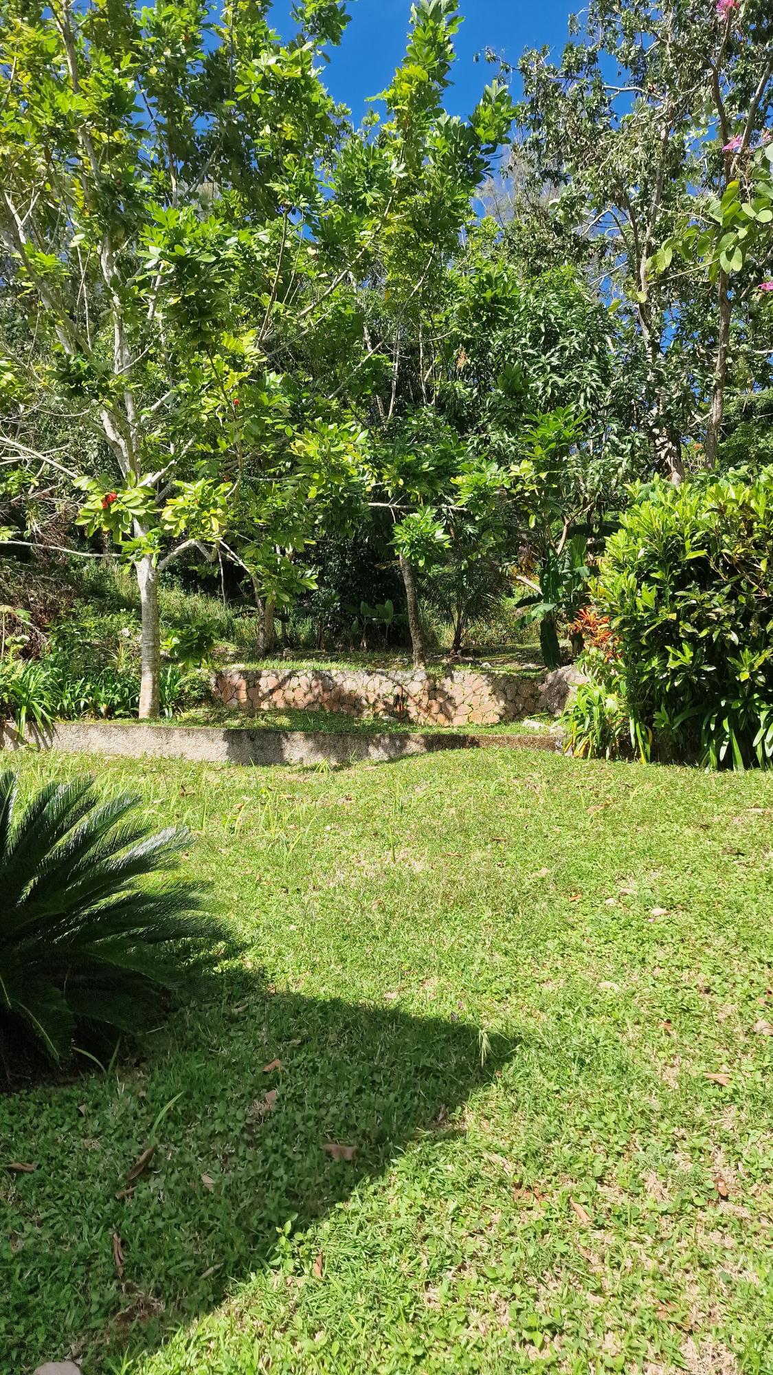 Twenty-First image of 2 Mount Atlas Road in Coopers Hill, St. Andrew, Jamaica - property is For Sale