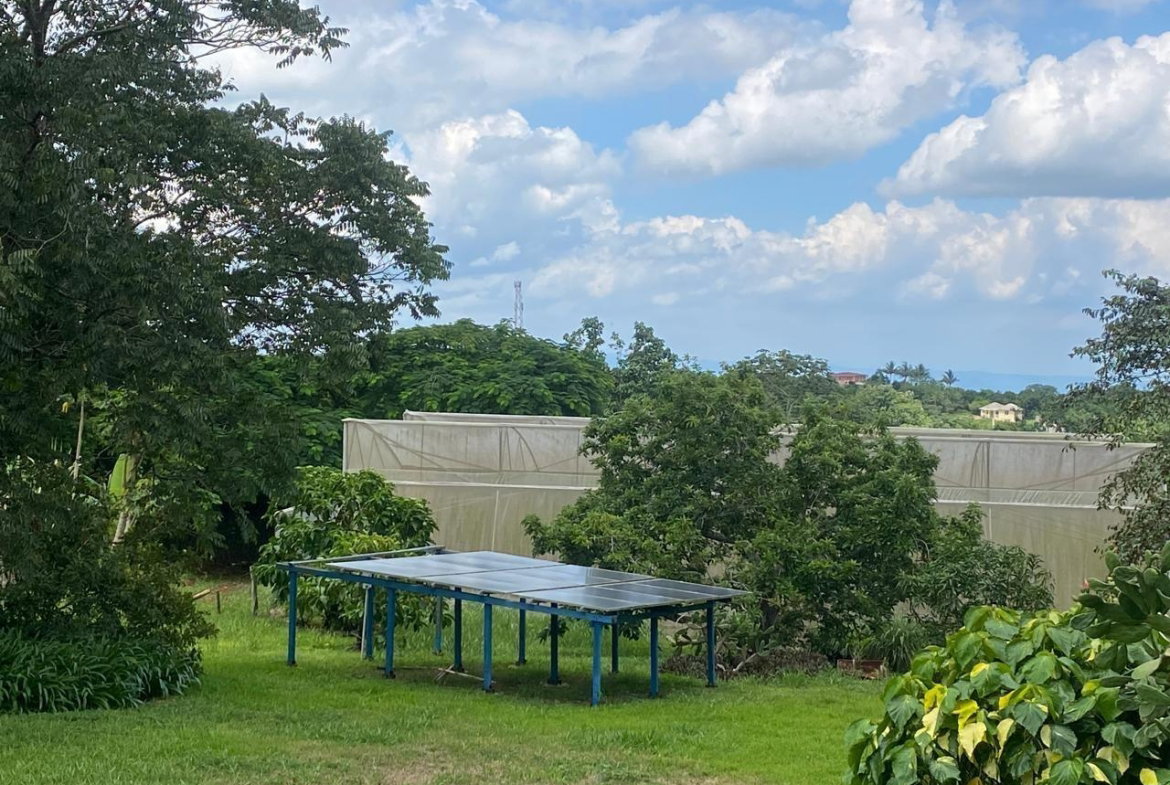 Twelfth image of 1 Snowden Road in Newport, Manchester, Jamaica - property is For Sale