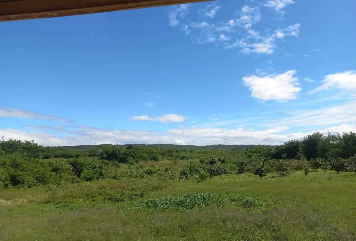 Seventeenth image of Lot-14 Green Park, Clarendon in Green Park, Clarendon, Jamaica - property is For Sale