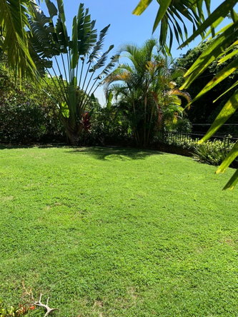Twenty-Ninth image of 76b Bellevue Drive Kgn 19 in Kingston 19, St. Andrew, Jamaica - property is For Rent